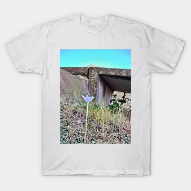 Untitled Blossom T-Shirt by LaurenPatrick